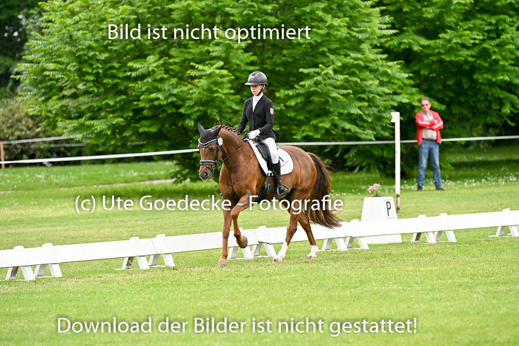  | 30052025 Dressur  (1399) 