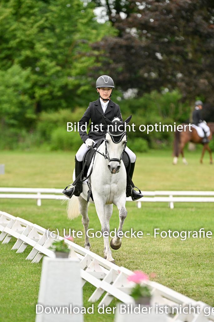  | 30052025 Dressur  (1427) 