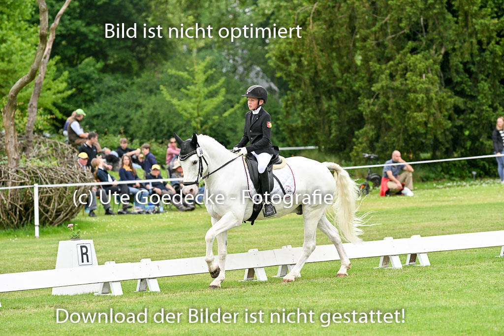  | 30052025 Dressur  (1430) 