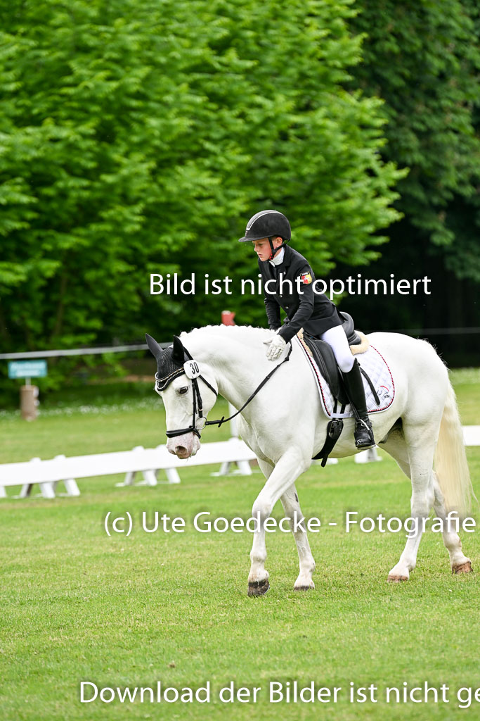  | 30052025 Dressur  (1434) 