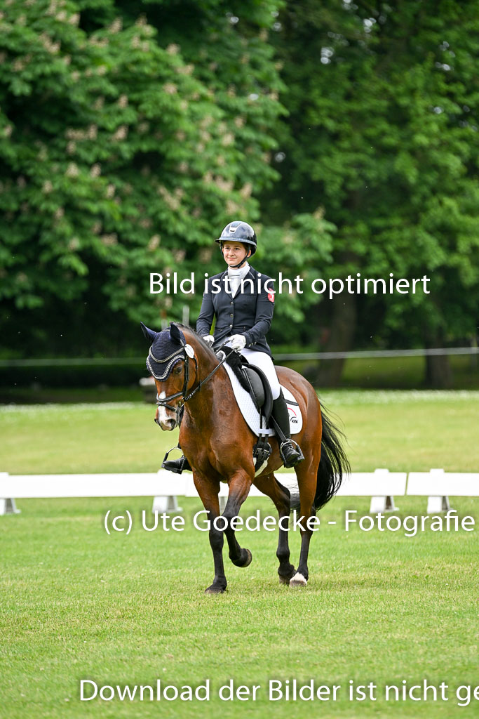  | 30052025 Dressur  (1442) 