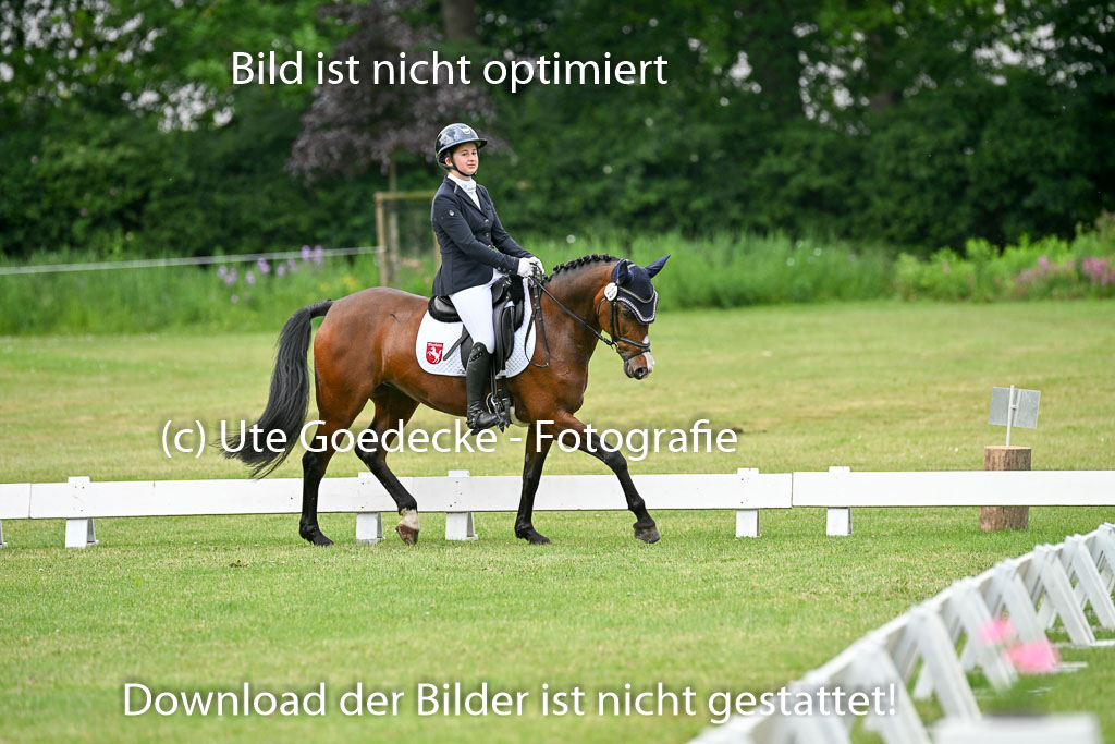 30052025-Dressur-1446.jpg