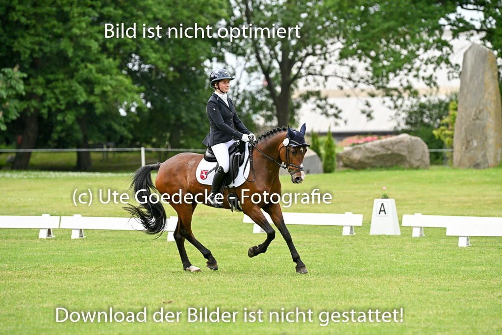  | 30052025 Dressur  (1453) 