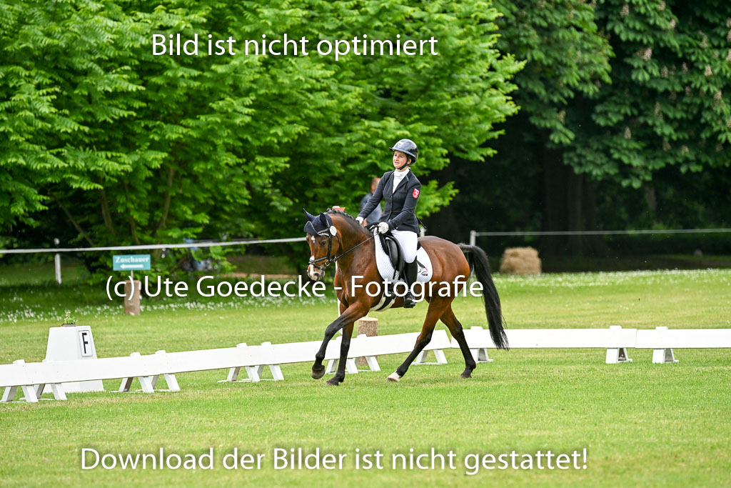  | 30052025 Dressur  (1455) 