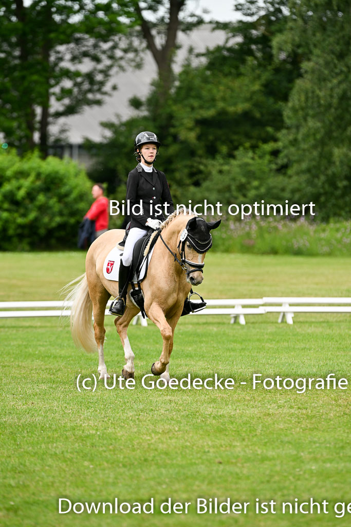  | 30052025 Dressur  (1471) 