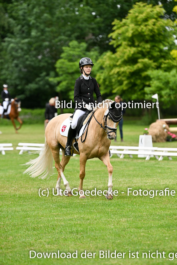  | 30052025 Dressur  (1474) 