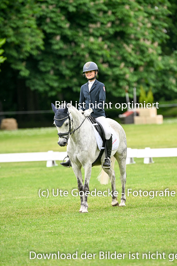  | 30052025 Dressur  (1478) 