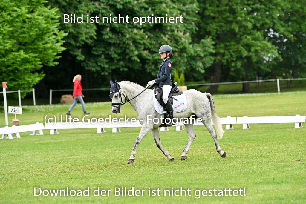  | 30052025 Dressur  (1480) 