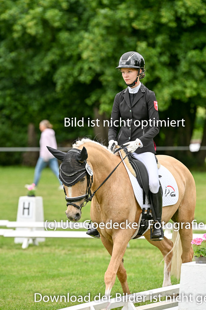  | 30052025 Dressur  (1482) 