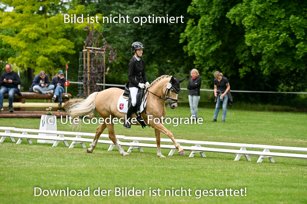  | 30052025 Dressur  (1483) 