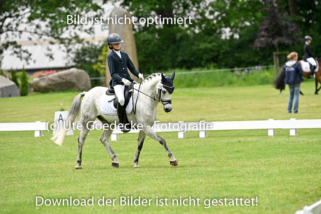  | 30052025 Dressur  (1487) 