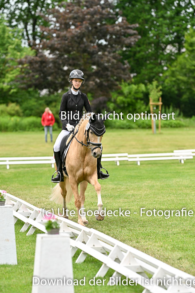  | 30052025 Dressur  (1493) 