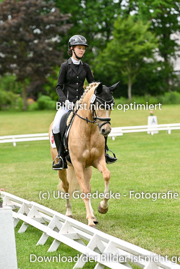  | 30052025 Dressur  (1495) 