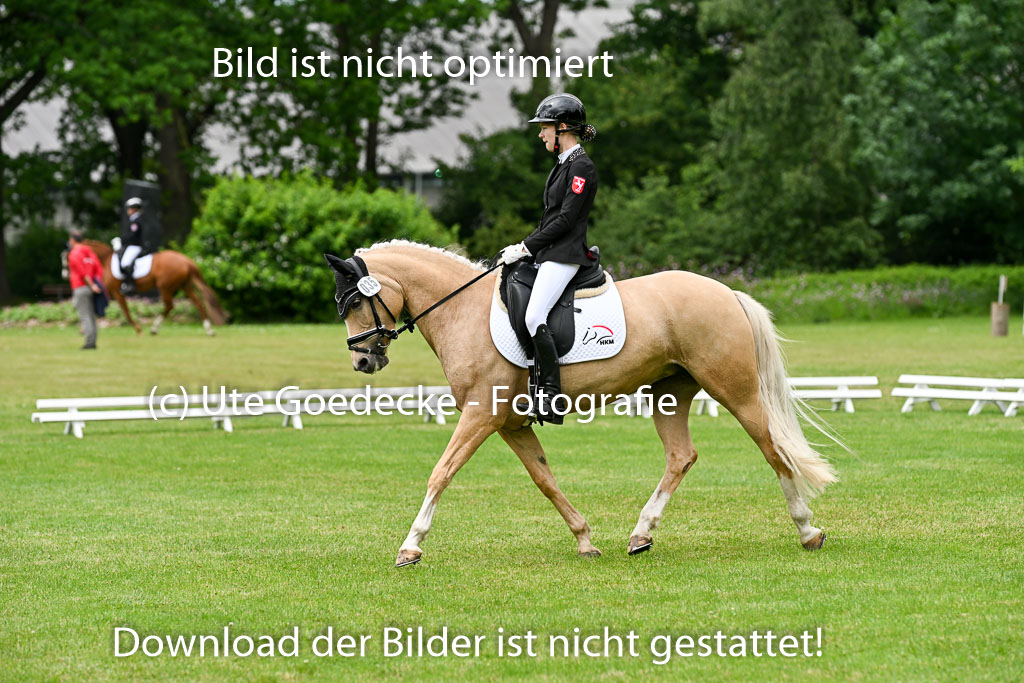  | 30052025 Dressur  (1496) 
