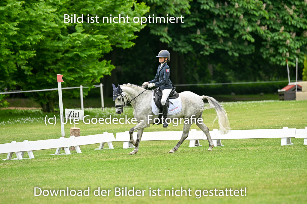  | 30052025 Dressur  (1499) 