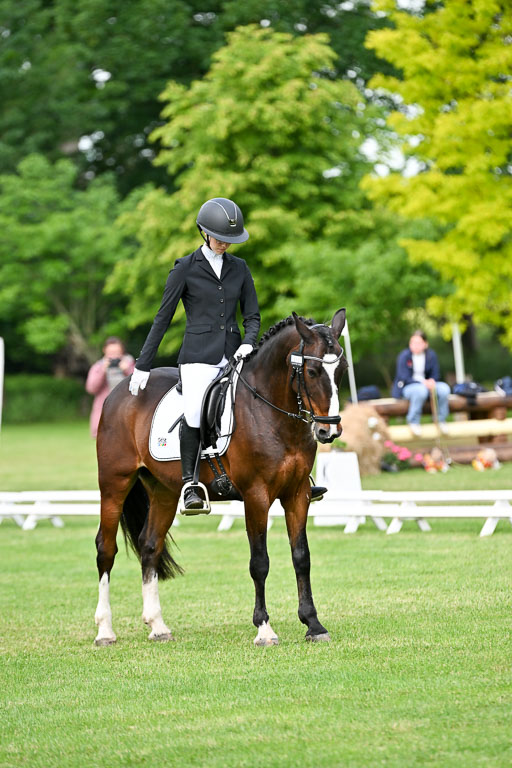  | 30052025 Dressur  (1007) 
