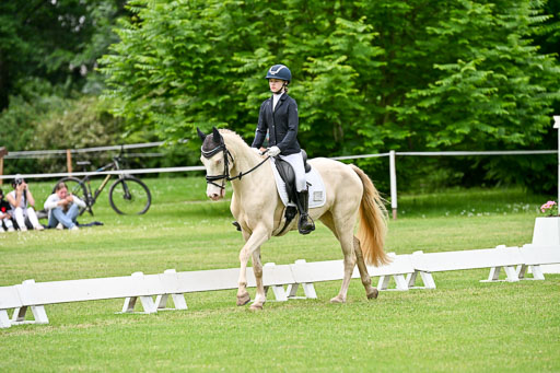 | 30052025 Dressur  (1101) 