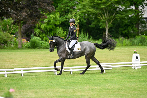  | 30052025 Dressur  (1104) 
