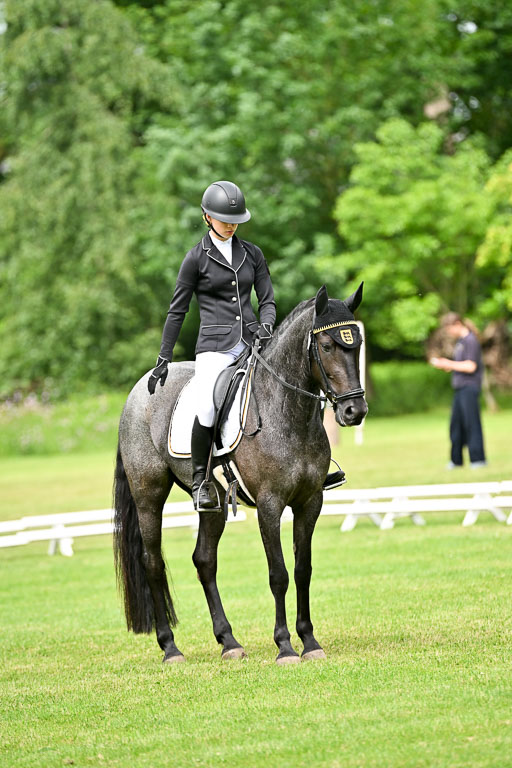  | 30052025 Dressur  (1113) 