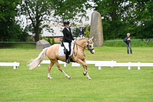  | 30052025 Dressur  (1120) 