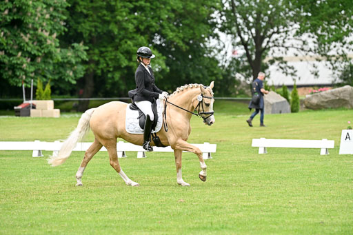  | 30052025 Dressur  (1123) 