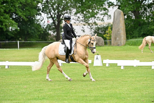  | 30052025 Dressur  (1124) 