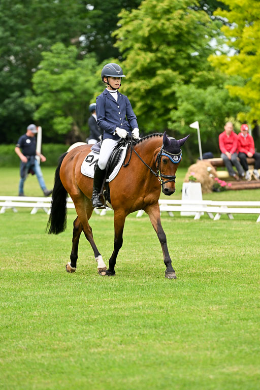  | 30052025 Dressur  (1127) 