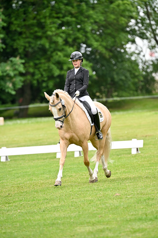  | 30052025 Dressur  (1129) 