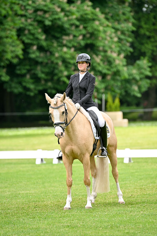  | 30052025 Dressur  (1132) 