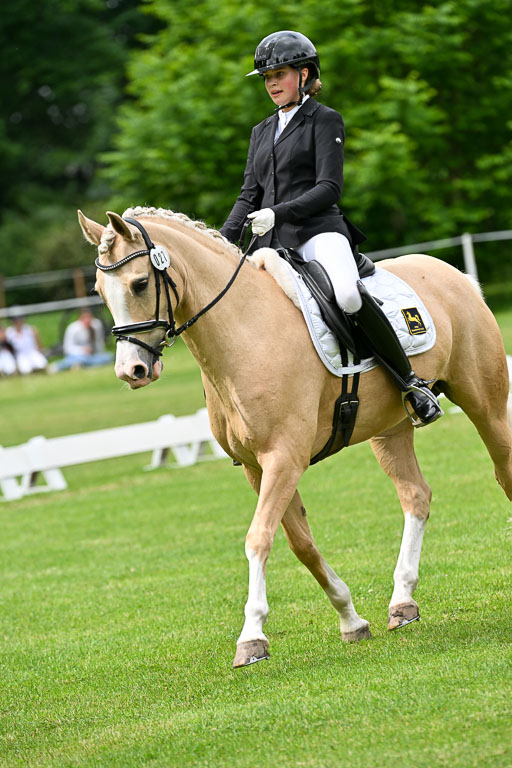  | 30052025 Dressur  (1133) 