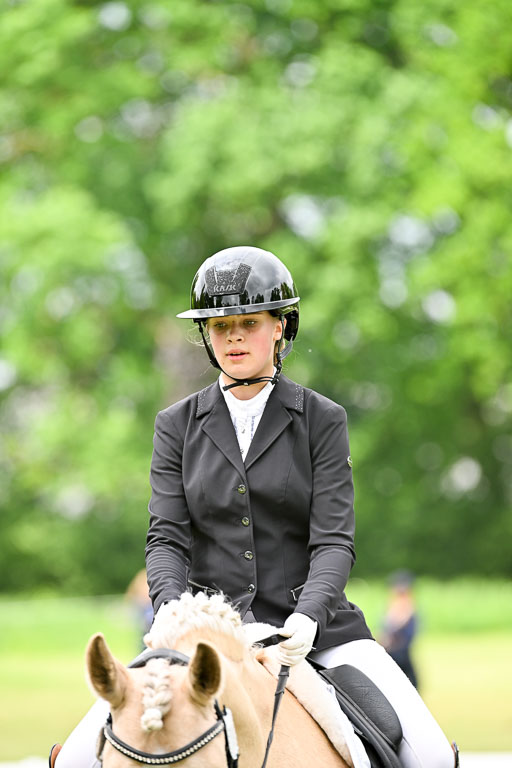  | 30052025 Dressur  (1143) 