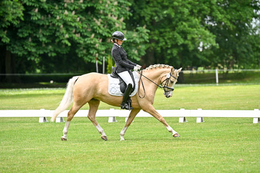  | 30052025 Dressur  (1145) 