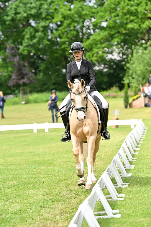  | 30052025 Dressur  (1151) 