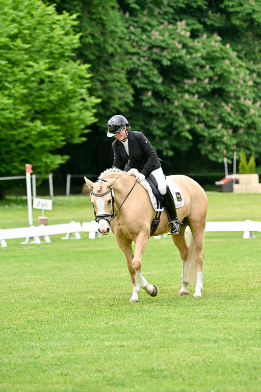  | 30052025 Dressur  (1163) 