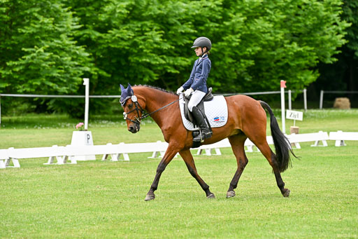  | 30052025 Dressur  (1177) 