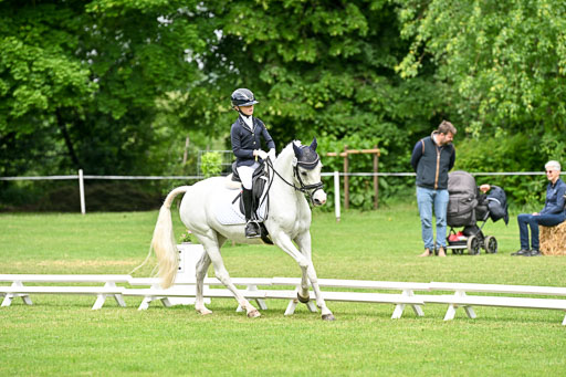  | 30052025 Dressur  (1179) 