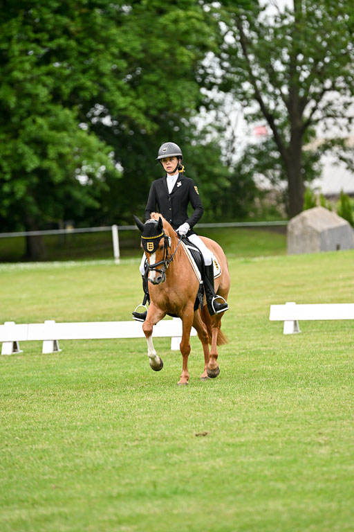  | 30052025 Dressur  (1215) 