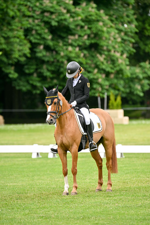  | 30052025 Dressur  (1218) 