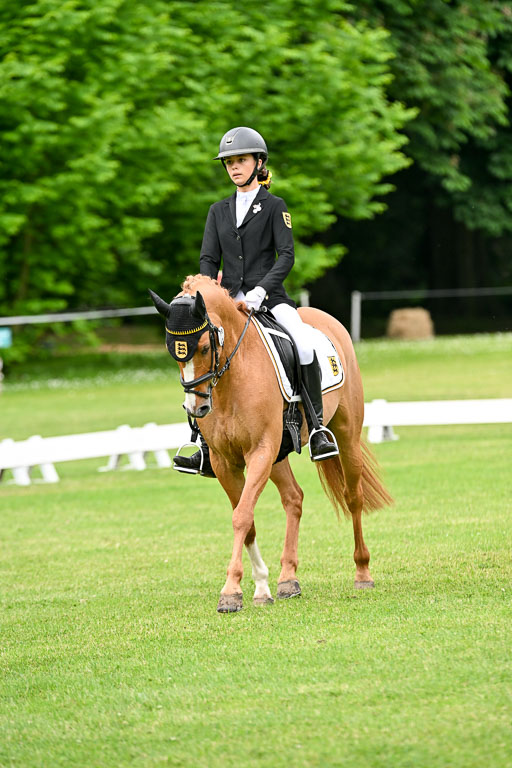  | 30052025 Dressur  (1219) 