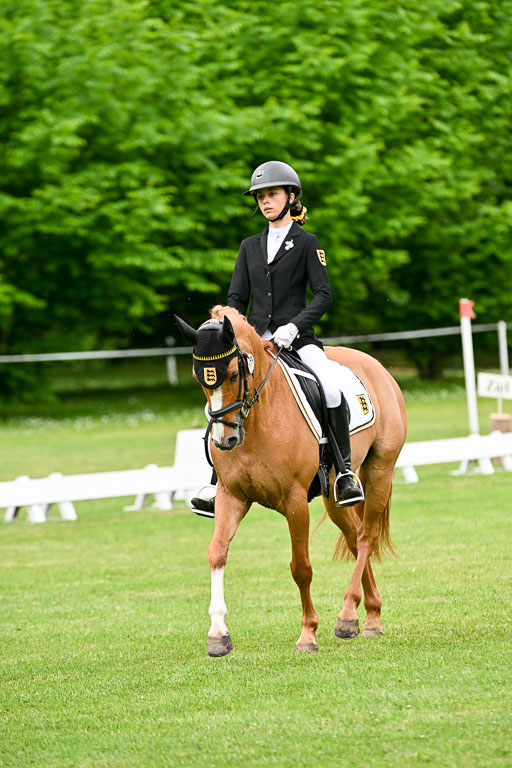  | 30052025 Dressur  (1220) 