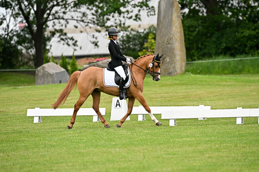  | 30052025 Dressur  (1223) 