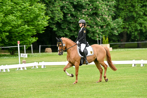  | 30052025 Dressur  (1224) 
