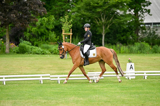  | 30052025 Dressur  (1228) 