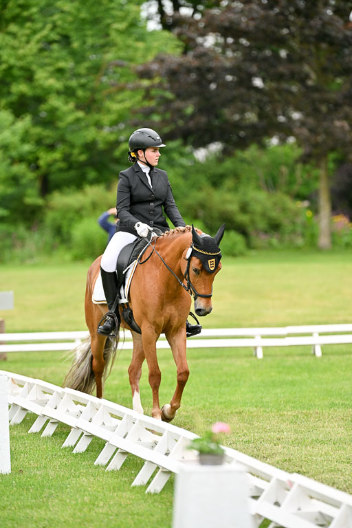  | 30052025 Dressur  (1229) 