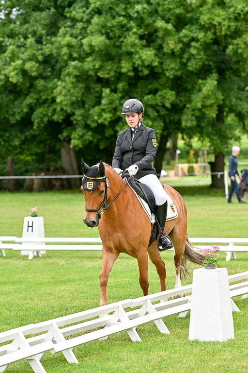  | 30052025 Dressur  (1231) 