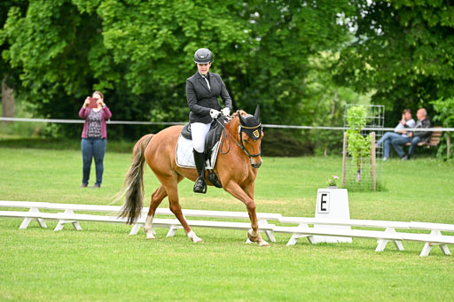  | 30052025 Dressur  (1232) 