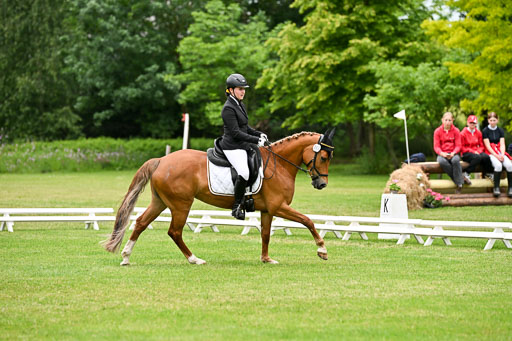  | 30052025 Dressur  (1233) 