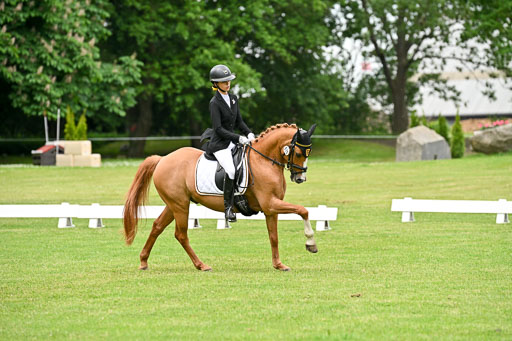  | 30052025 Dressur  (1238) 