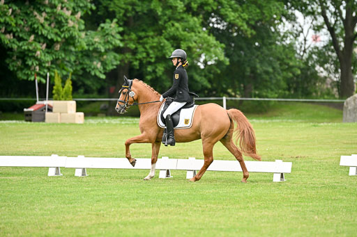  | 30052025 Dressur  (1243) 