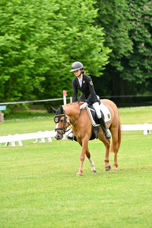  | 30052025 Dressur  (1249) 